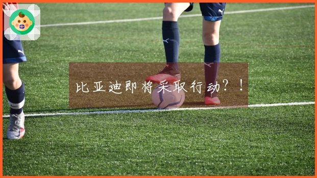 比亚迪即将采取行动？！